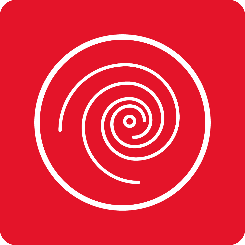 Spin programme